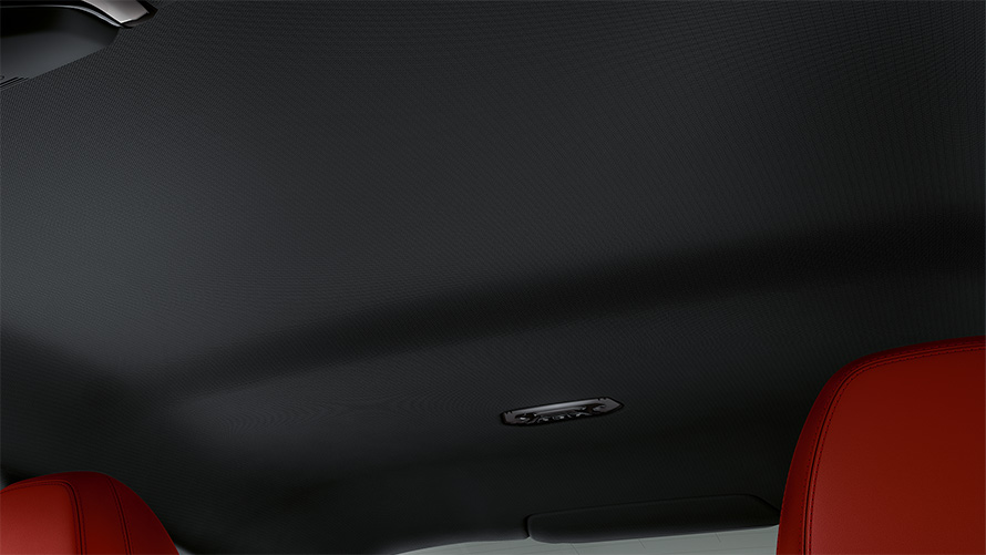 Облицовка потолка BMW Individual в цвете anthracite на BMW 4 серии Coupe G22 2020, интерьер кокпита